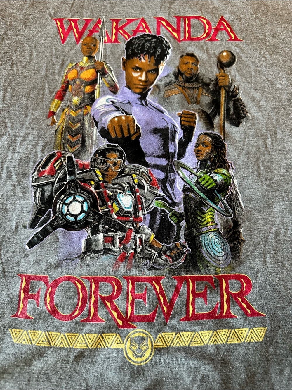 Marvel Wakanda Forever Graphic Tee - Gray